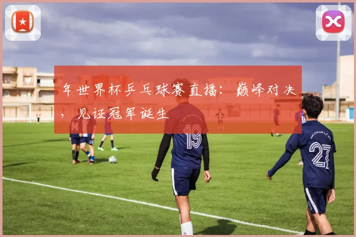 年世界杯乒乓球赛直播：巅峰对决，见证冠军诞生
